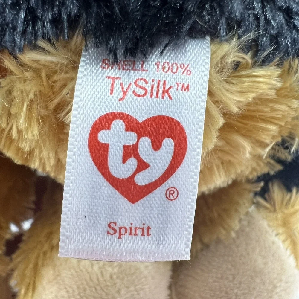 Ty meet spirit